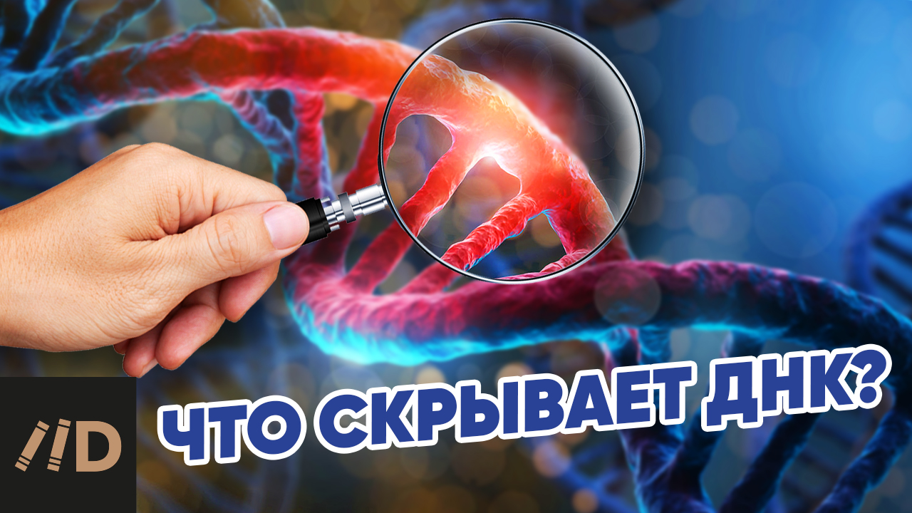 Что скрывает ДНК? смотреть онлайн