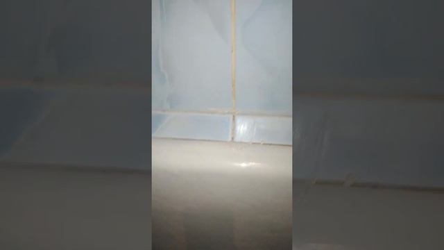 Как избавиться от грибка в ванной. Паста Мистик. смотреть онлайн