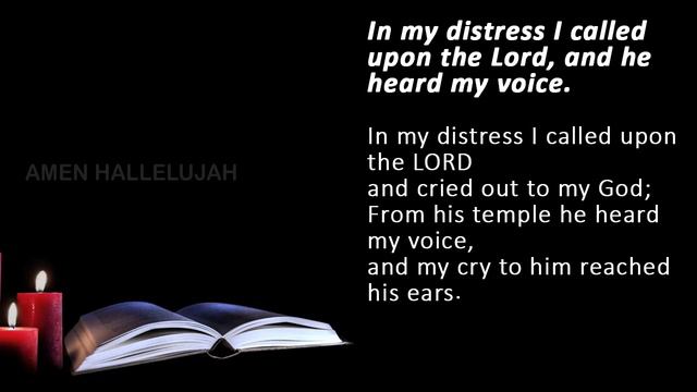 Catholic Daily Mass Readings for today I Friday March 22 2024 смотреть онлайн
