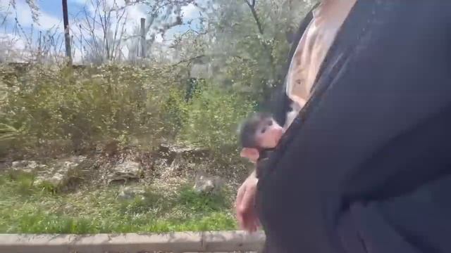 Мы со Степой гуляем по парку, любуемся красотой и кормим МАЛЫША -ОТКАЗНИЧКА вместе с Леокадией))) смотреть онлайн