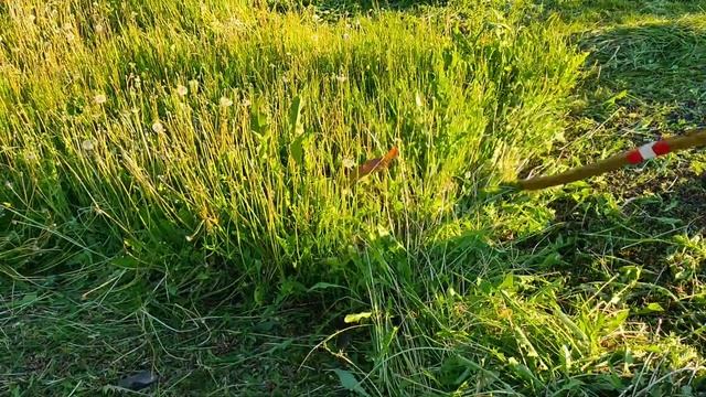 Косьба ручной косой на закате. (2/3). Scything. смотреть онлайн