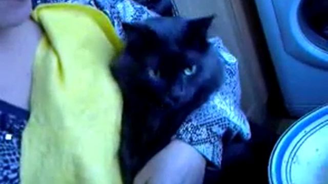 Марс ест суп 2.mp4