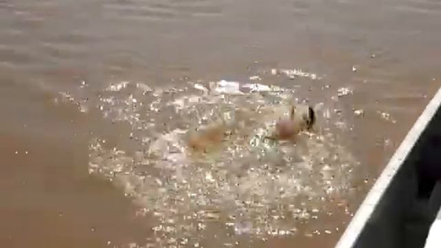 Рыбалка она такая смотреть онлайн