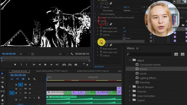 БАЗОВЫЕ ЭФФЕКТЫ PREMIERE PRO. Курс по монтажу