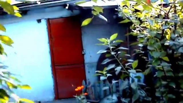 Продается дом Ташкент Узбум ул 8 марта смотреть онлайн