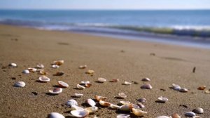 Релакс музыка с шумом моря .