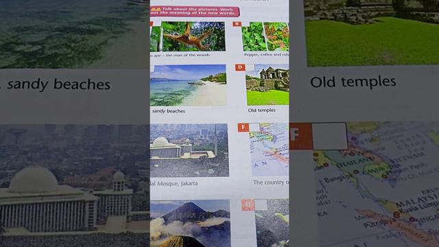 اليونت الخامس،الدرس السابع Have you ever been to Indonesia? смотреть онлайн