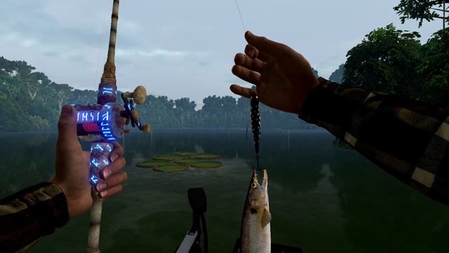 Fishing Planet Амазонский ЛАБИРИНТ Краснохвостая БАРАКУДА смотреть онлайн