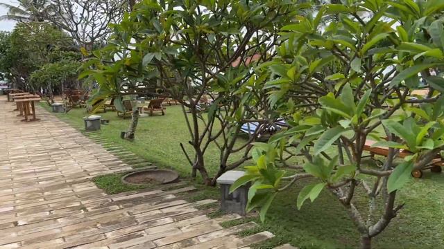 Hikka Tranz by Cinnamon | Hikkaduwa - Sri Lanka 🇱🇰 Hotel Review #1 смотреть онлайн