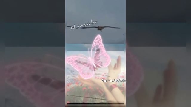 Ей өмір,бақытың қаншадан?-әніне @ бейне баян,С.Валиханның өлеңімен өрнектелді. смотреть онлайн