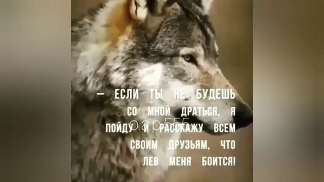 Всё что нужно чтобы посадить любого на место.Знай себе цену смотреть онлайн
