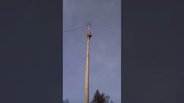 Масленица2017челябинск смотреть онлайн