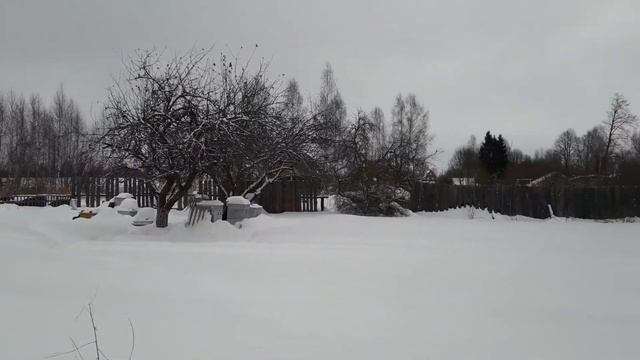 Выбраковка рамок.|| 2018 г. смотреть онлайн