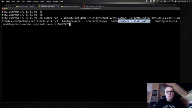 Optimize the prediction latency of Transformers with a single Docker command! смотреть онлайн