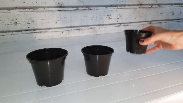 Горшок технический d100мм 0,35л арт.07187 Милих смотреть онлайн