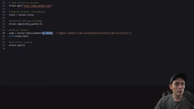 Execute and Automate Selenium Powered Applications смотреть онлайн