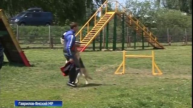 В Великосельском аграрном колледже прошел конкурс профмастерства по специальности «Кинология» смотреть онлайн