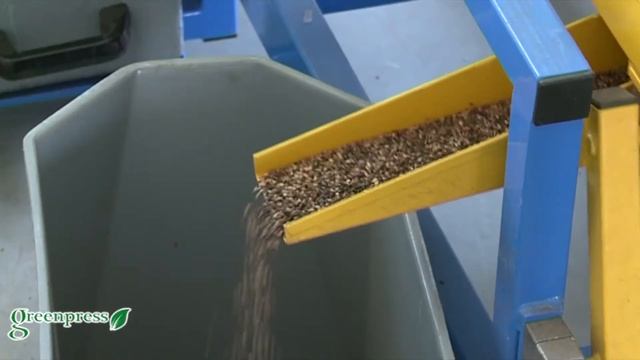 Лесосеменной центр Воронеж смотреть онлайн