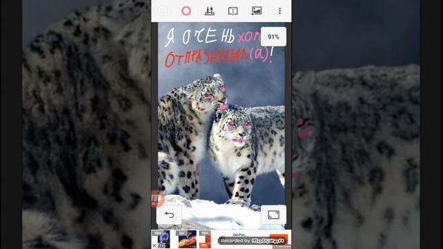 Как провели день святого валентина? Напишите в коментах. -^- смотреть онлайн