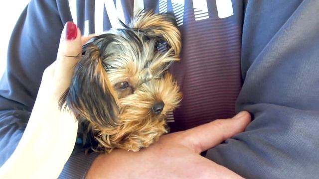 ?МЫ В ВОСТОРГЕ ⭐МУЗЕЙ ИЛЛЮЗИЙ ?ЖИЗНЬ В ПОЛЬШЕ ?muzeum iluzji смотреть онлайн