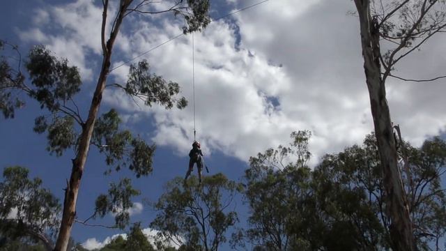 Possum Pull смотреть онлайн