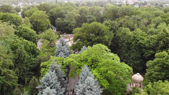 В Лабинске стартовало рейтинговое голосование смотреть онлайн