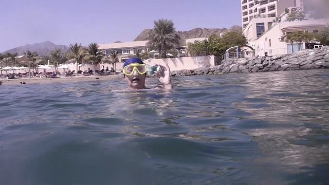 Подводные "цветы" и разговоры о каракатицах смотреть онлайн