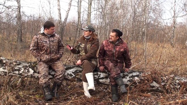 Гончие породы собак. Эстонская гончая смотреть онлайн