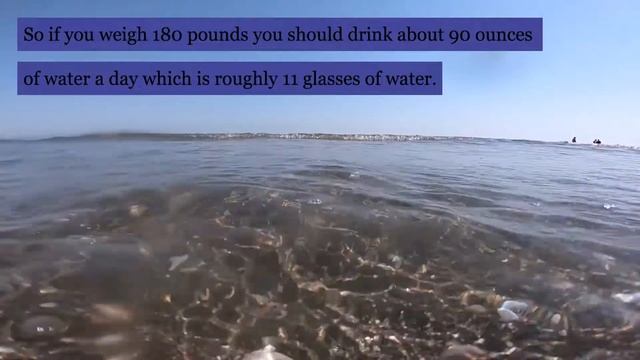 Drinking Water To Lose Weight, The Water Diet 2022!! (FREE)