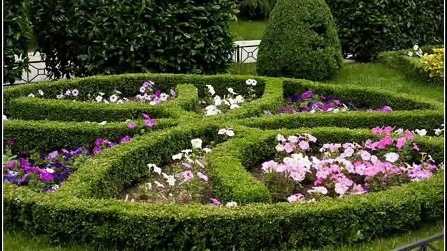 Jgufi Tbili-si - Tbilisi ( ჯგუფი თბილისი-სიმღერა თბილისზე )