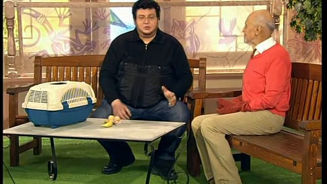 в мире животных крыланы смотреть онлайн