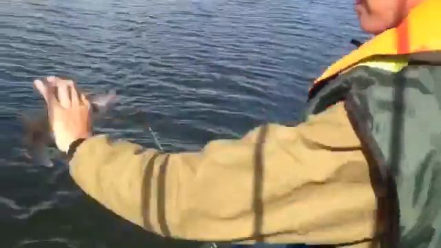Маленький судачек смотреть онлайн