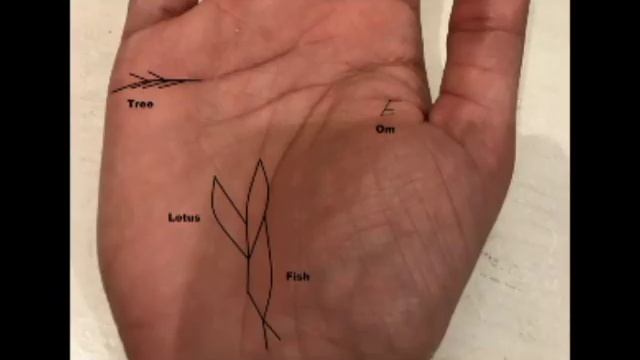 Indian Palmistry Symbols: The Lotus Sign and Luck смотреть онлайн