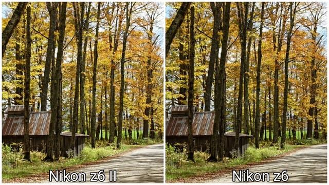 Nikon Z6 II Vs Nikon Z6 Camera Test