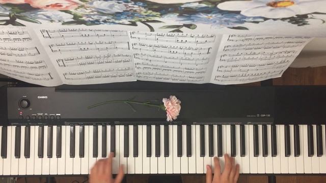 Pleyel - Sonatina in D Rondo смотреть онлайн