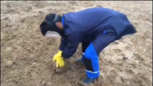 Лаборатория жжет смотреть онлайн