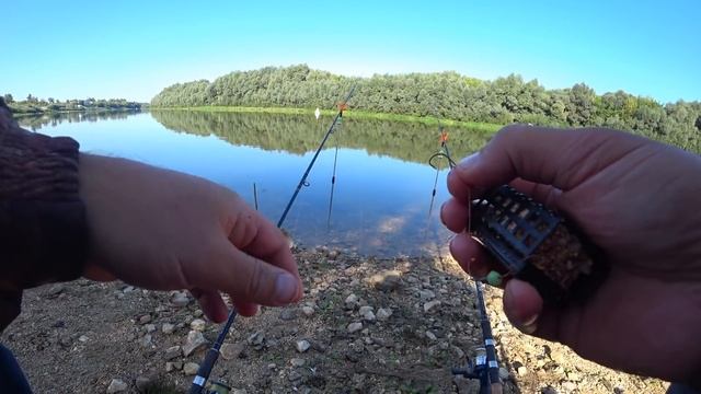 Ловля ЛЕЩА на донки! Рыбалка на донки в конце августа! Рыбалка на Оке! смотреть онлайн