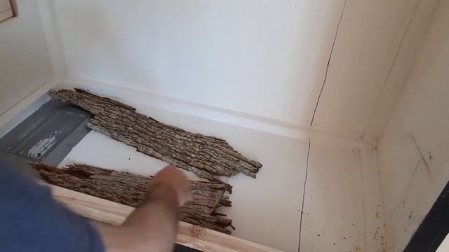 Step by Step Enclosure Build for a Boa Constrictor смотреть онлайн