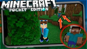 КАК ПРИЗВАТЬ ХЕРОБРИНА В МАЙНКРАФТЕ 1.16 (Minecraft PE) МКПЕ