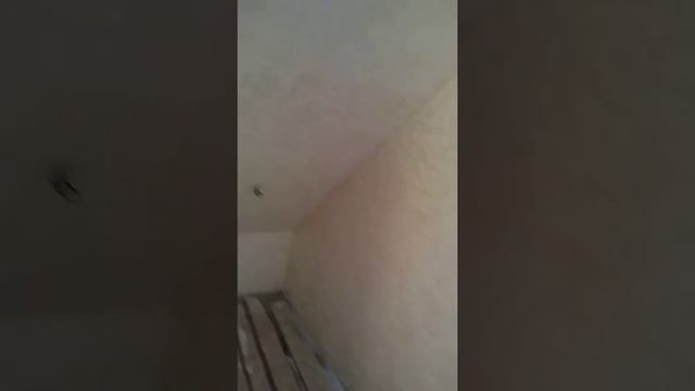 Декоративная штукатурка Леонардо и Отточенто смотреть онлайн