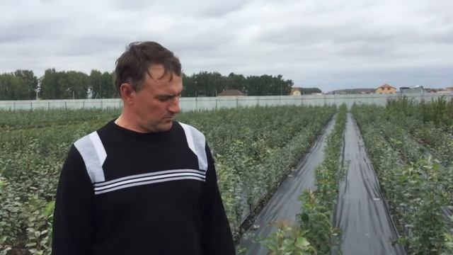 Омский садовод смотреть онлайн