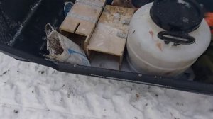 Промысел куницы капканами/ Первая куничка/Ночевка в избе!