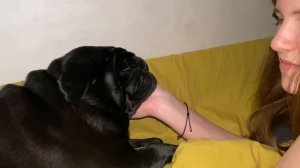 Ночной движ. Мама всё врала. Наш вечер. Marichka life.