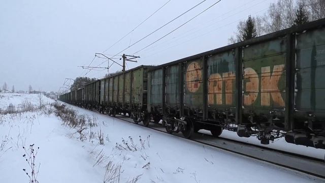 ВЛ11М-240239 Б с грузовым поездом против стаи собак