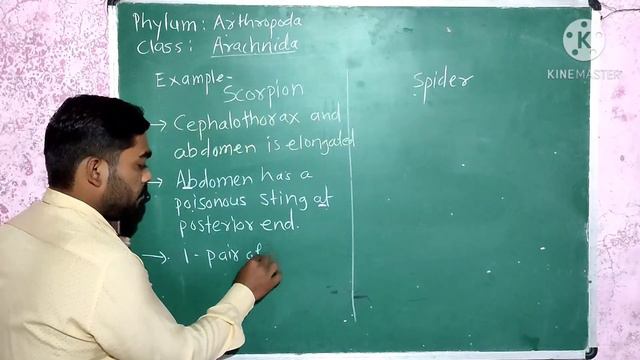 Kingdom : Animalia Phylum : Arthropoda Class: Arachnida And Merostomata смотреть онлайн