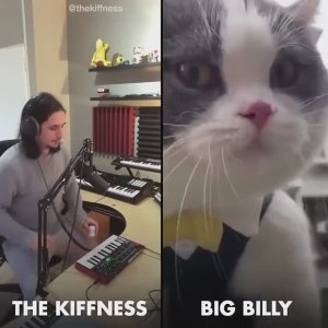 The Kiffness X Big Billy (Live Looping Talking Cat Remix)