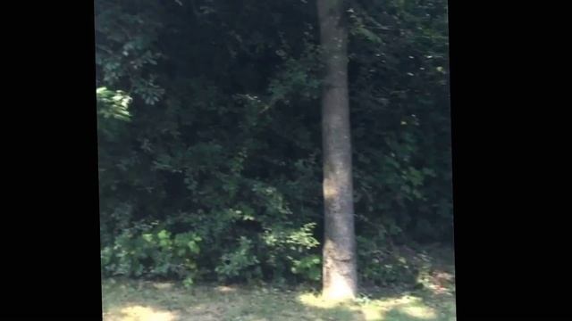 Обычный дом в предместьях Золингена смотреть онлайн