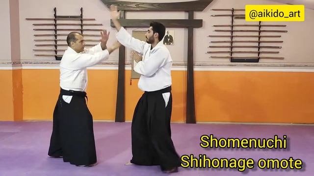 Shomenuchi, Kotegaeshi, Shihonage, kaiten nageh смотреть онлайн