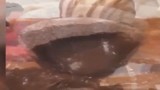 НЕ СМОТРИ ЭТО! Залипните на 10 минут в монитор   я залип    Most Satisfying Video In The World