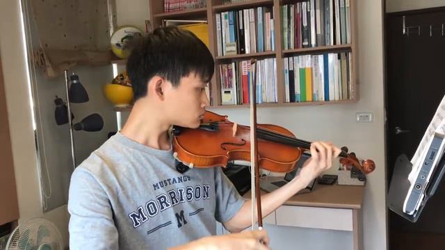 Chi Min/Flight Of The Bumble Bee Nikolai Rimsky Korsakov Cover